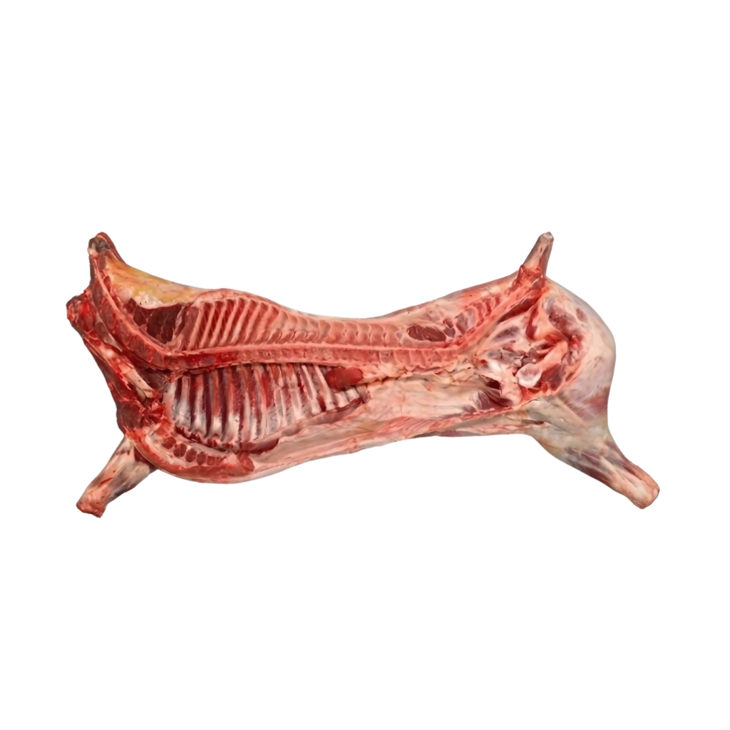 Half Veal 1 lb buy online USA - 1
